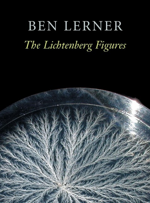 The Lichtenberg Figures