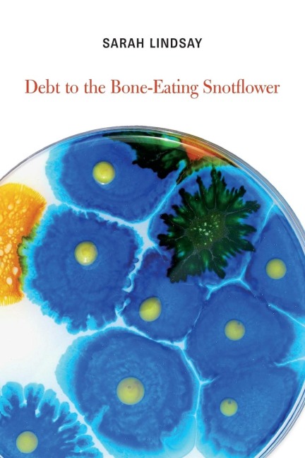 Debt to the Bone-Eating Snotflower
