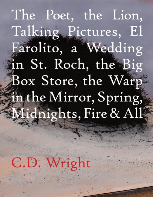 The Poet, the Lion, Talking Pictures, El Farolito, a Wedding in St. Roch, the Big Box Store, the Warp in the Mirror, Spring, Midnights, Fire & All