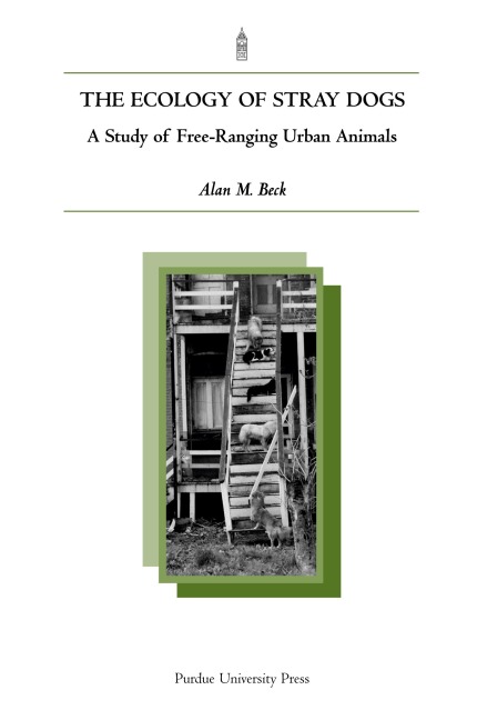 Ecology of Stray Dogs: A Study of Free-Ranging Urban Animals
