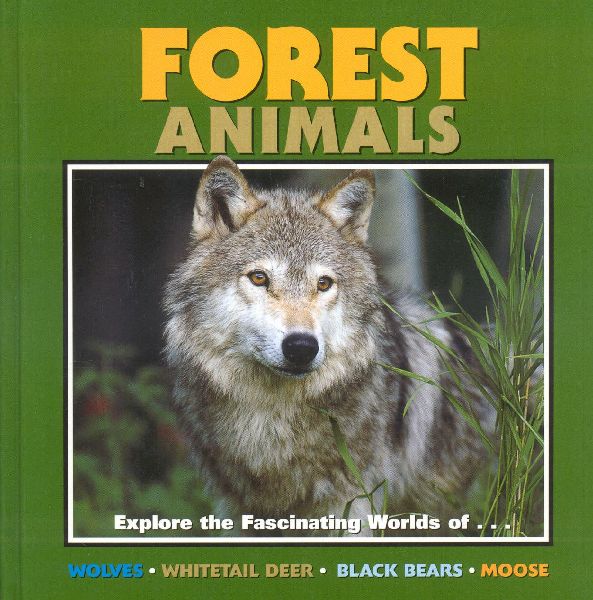 Forest Animals