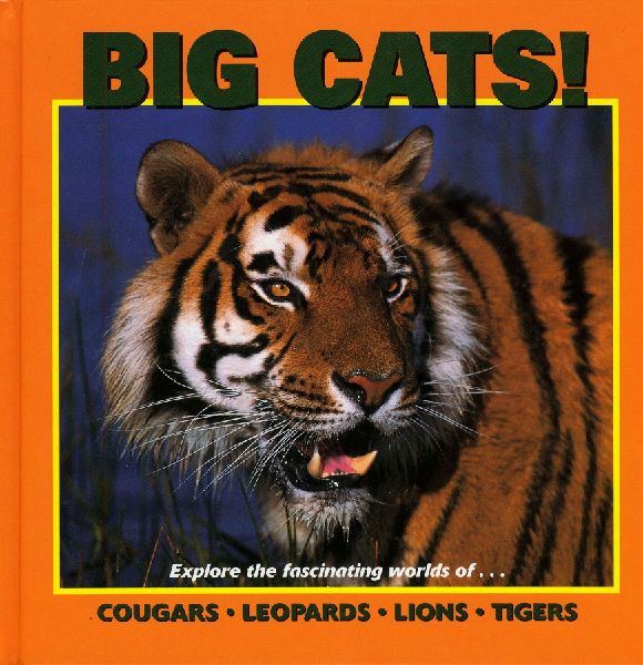Big Cats