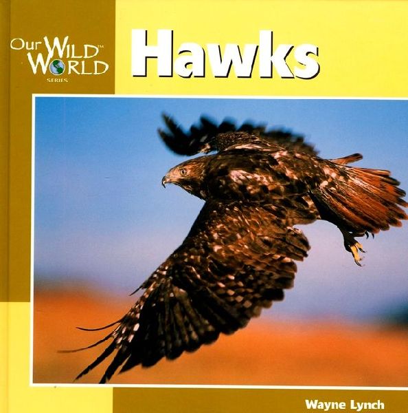Hawks