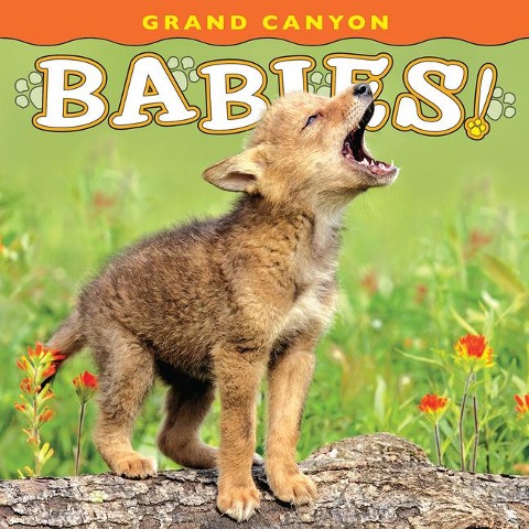 Grand Canyon Babies!