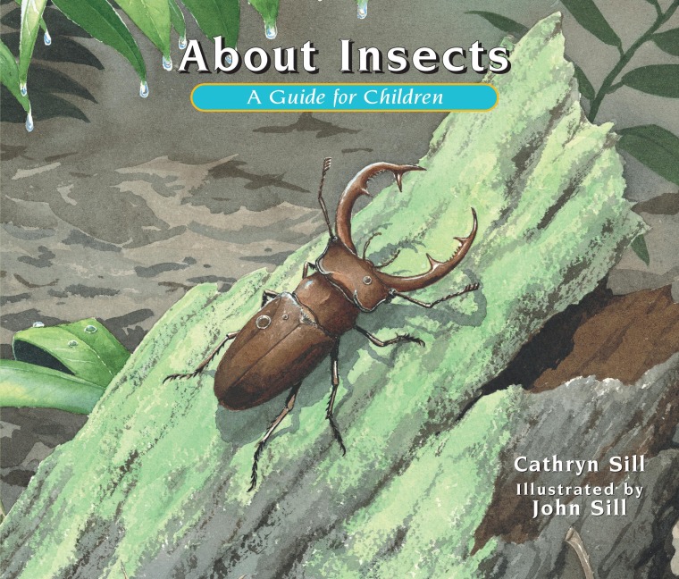 About Insects: A Guide for Children (Educational Science Book about Bugs for Stem Learning)