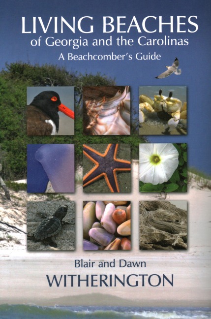 Living Beaches of Georgia and the Carolinas: A Beachcombers Guide