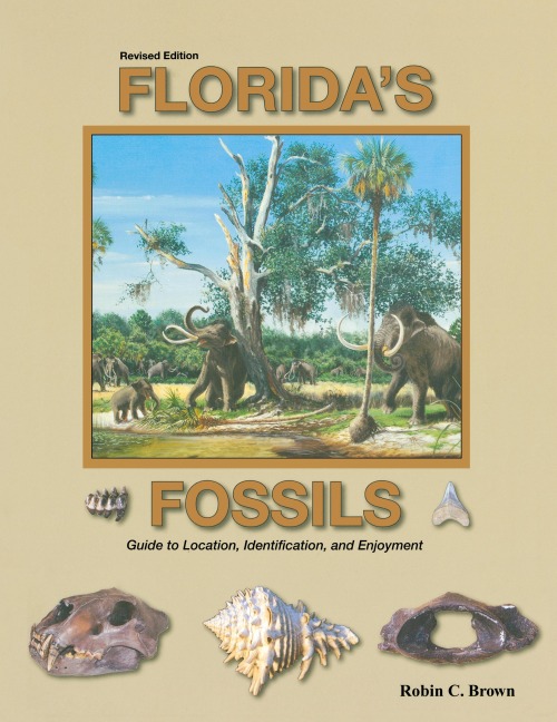 Floridas Fossils