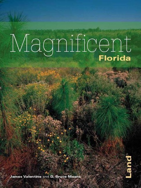 Floridas Magnificent Land