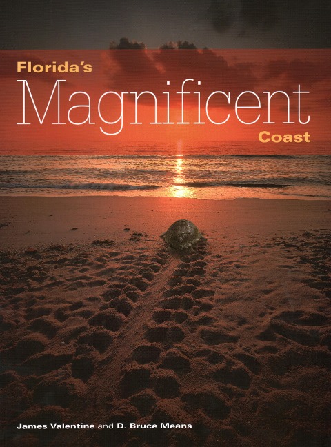 Floridas Magnificent Coast