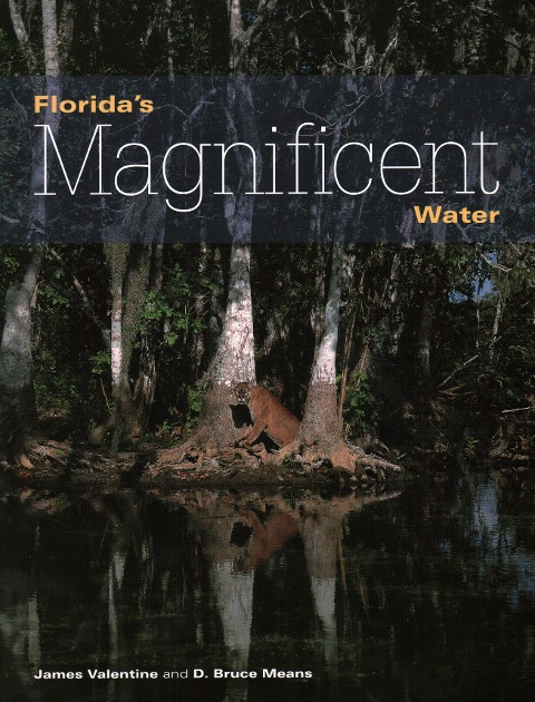 Floridas Magnificent Water
