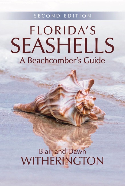 Floridas Seashells: A Beachcombers Guide