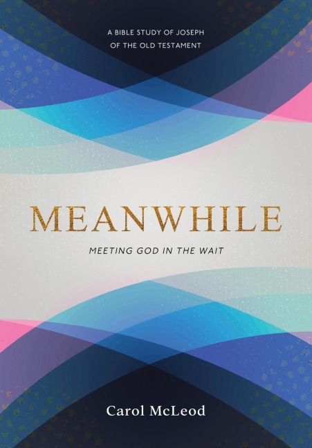 Meanwhile: Meeting God in the Wait