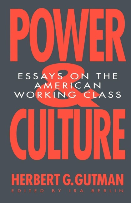 Power and Culture: Essays on the American Working Class