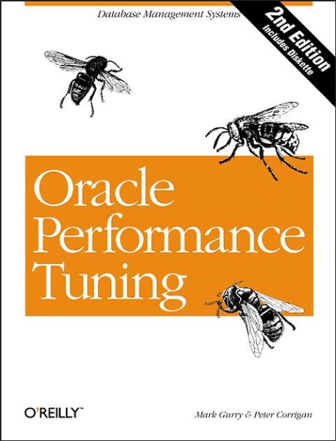 Oracle Performance Tuning: Database Management Systems