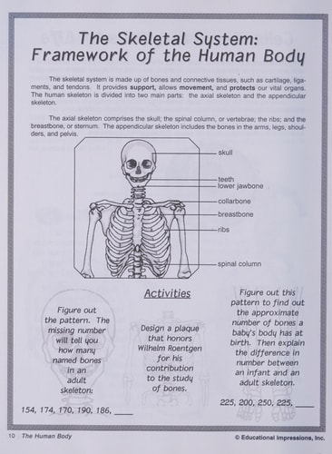 The Human Body