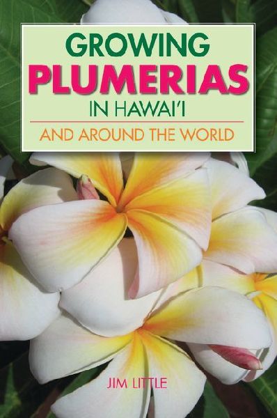 Growing Plumerias in Hawaii
