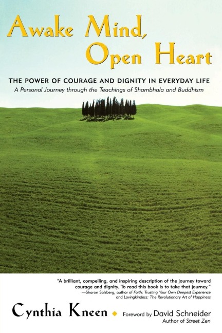 Awake Mind, Open Heart: The Power of Courage and Dignity in Everyday Life