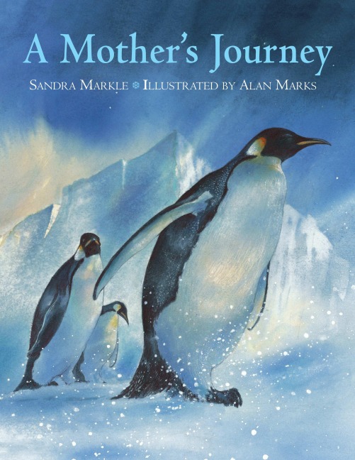 A Mothers Journey