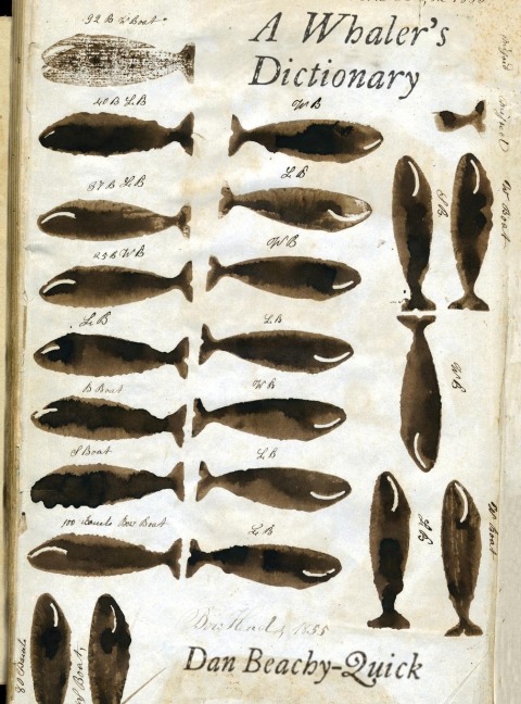 A Whalers Dictionary