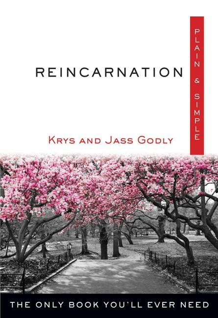Reincarnation Plain & Simple: The Only Book Youll Ever Need