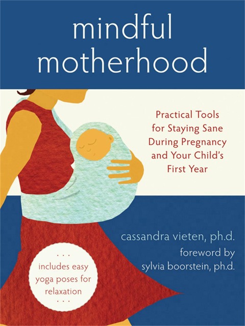 Mindful Motherhood: Practical Tools for Staying Sane During Pregnancy and Your Childs First Year: Practical Tools for Staying Sane During Pregnancy and Your Childs First Year