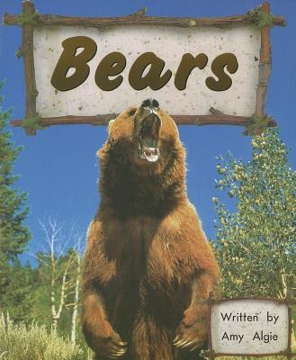 Bears