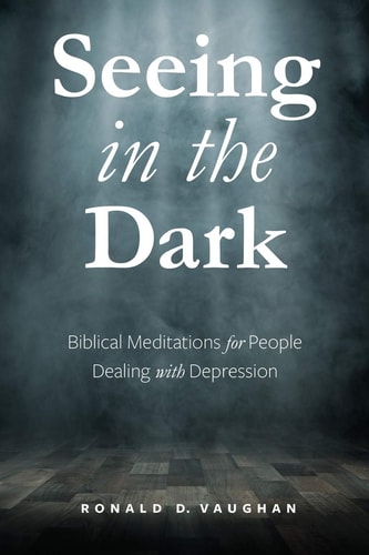 Seeing in the Dark Biblical Meditations for People Dealing with Depression