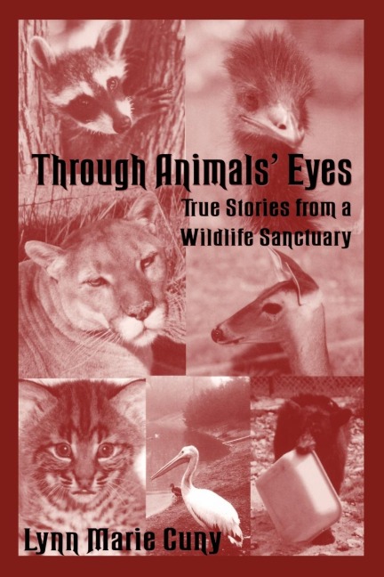 Through Animals Eyes: True Stories from a Wildlife Sanctuary