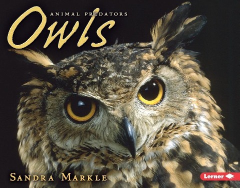 Owls