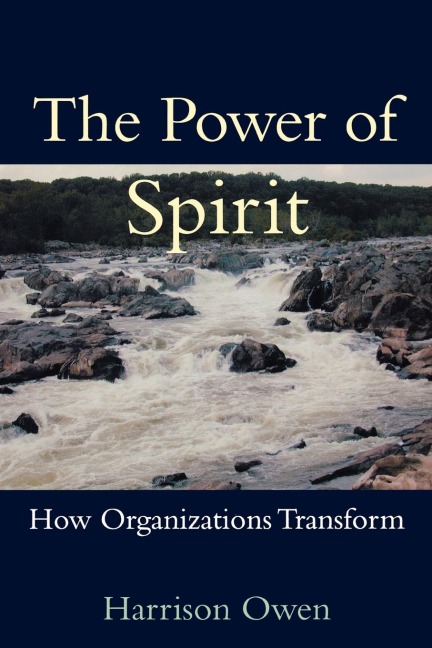 The Power of Spirit: How Organizations Transform