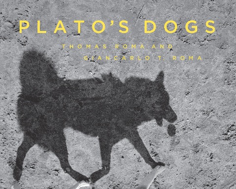 Platos Dogs