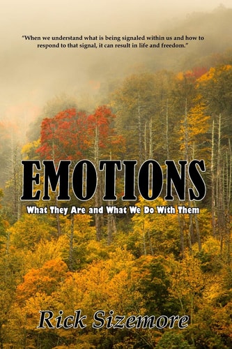 Emotions What Are They and What Do We Do With Them