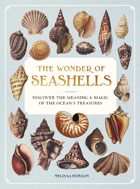 The Wonder of Seashells: Discover the Meaning & Magic of the Oceans Treasures