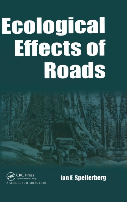 Ecological Effects of Roads: The Land Reconstruction and Management