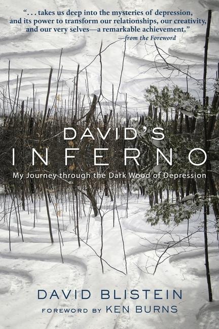 Davids Inferno: My Journey Through the Dark Wood of Depression