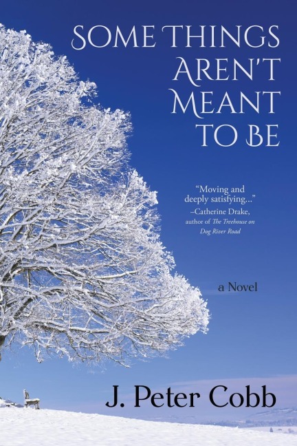 Some Things Arent Meant to Be: A Novel