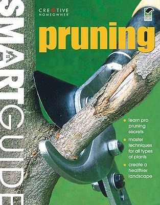 Smart Guide(r) Pruning