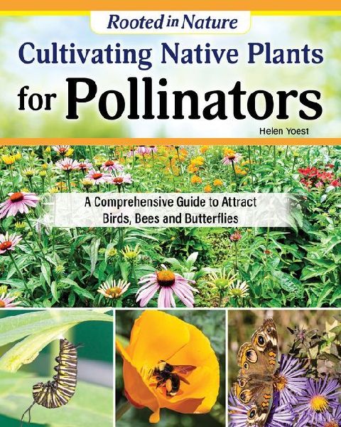 Cultivating Native Plants for Pollinators: A Comprehensive Guide to Attracting Birds, Bees, and Butterflies