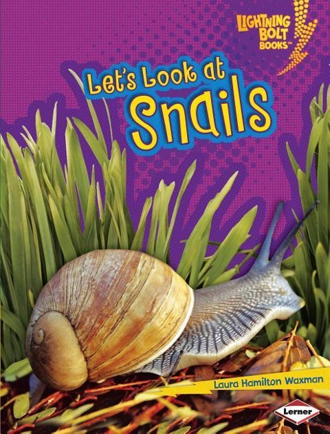 Lets Look at Snails