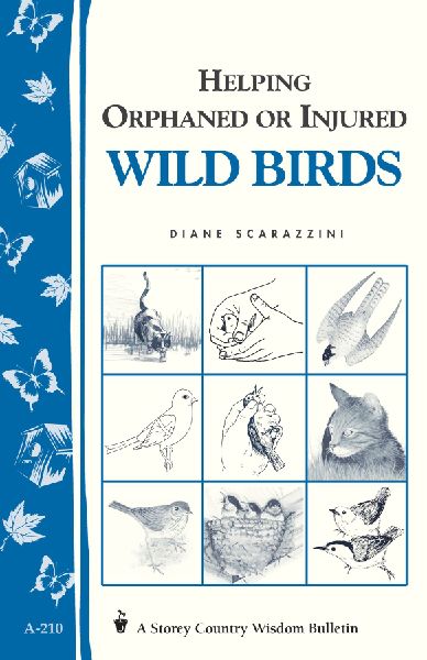 Helping Orphaned or Injured Wild Birds: Storeys Country Wisdom Bulletin A-210
