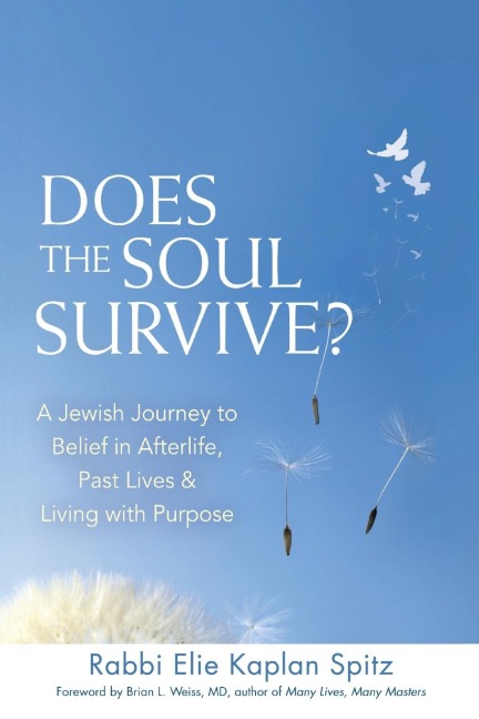 Does the Soul Survive? (2nd Edition): A Jewish Journey to Belief in Afterlife,  Past Lives & Living with Purpose