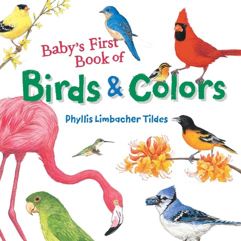 Babys First Book of Birds & Colors