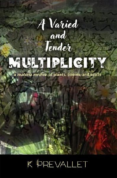 A Varied and Tender Multiplicity: a materia medica of plants, poems, and spells