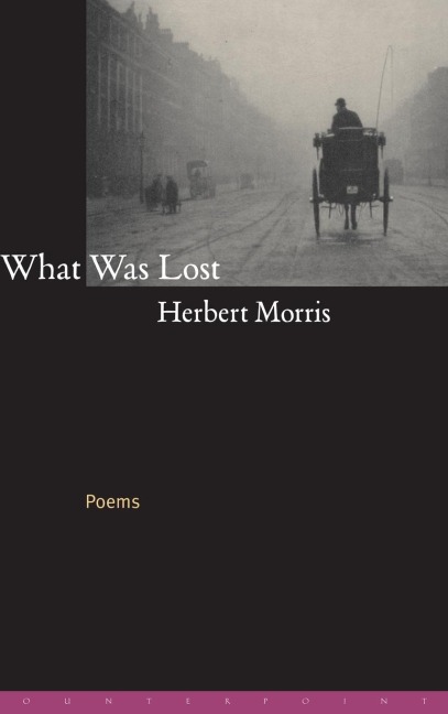 What Was Lost: Poems