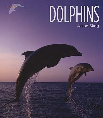 Dolphins