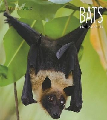Bats