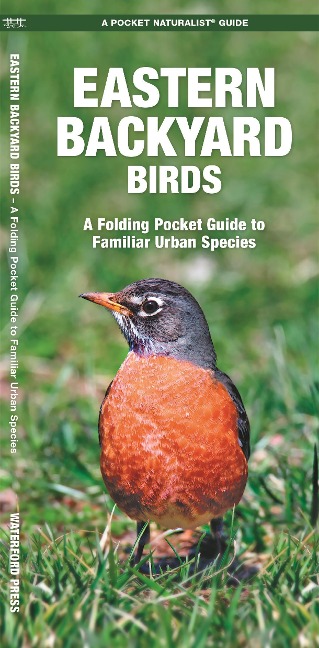 Eastern Backyard Birds: An Introduction to Familiar Urban Species