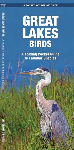 Great Lakes Birds: A Folding Pocket Guide to Familiar Species