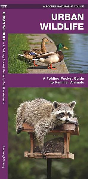 Urban Wildlife: A Folding Pocket Guide to Familiar Animals