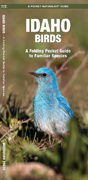 Idaho Birds: A Folding Pocket Guide to Familiar Species